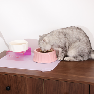 cabinet for cat litter box