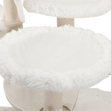 elevated cat bed for large cats