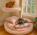 cute pet bed