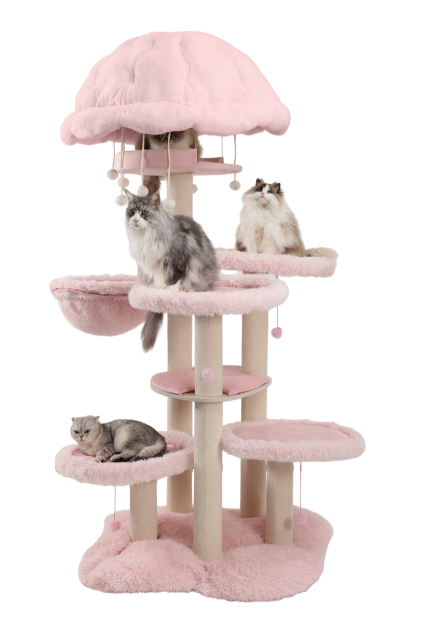 Super-sturdy solid wood heavy-duty cat tree for large cats.