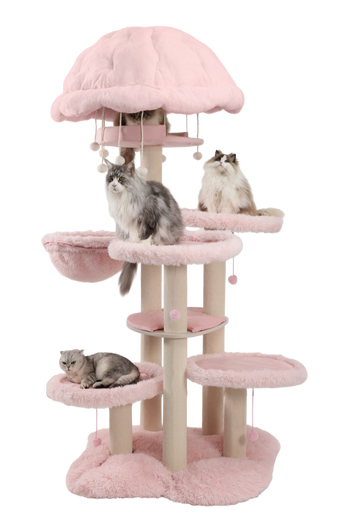 Super-sturdy solid wood heavy-duty cat tree for large cats.