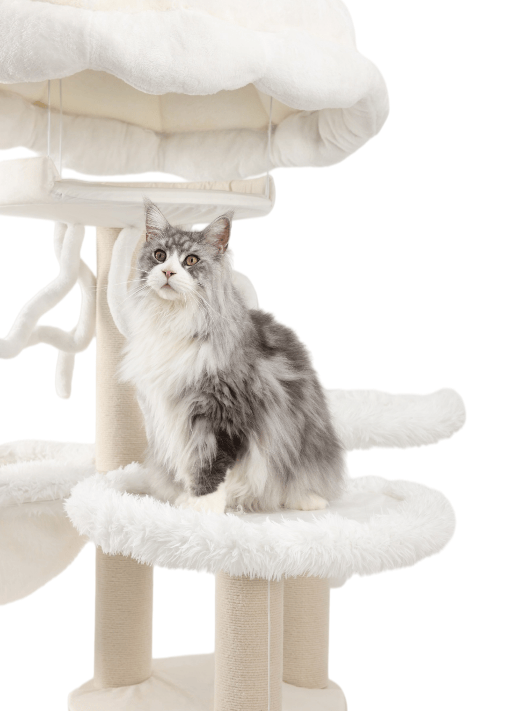 Solid wood structure with extremely stable design - the massive cat tree