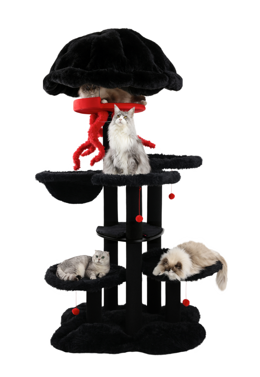 prestige cat trees maine coon cat house