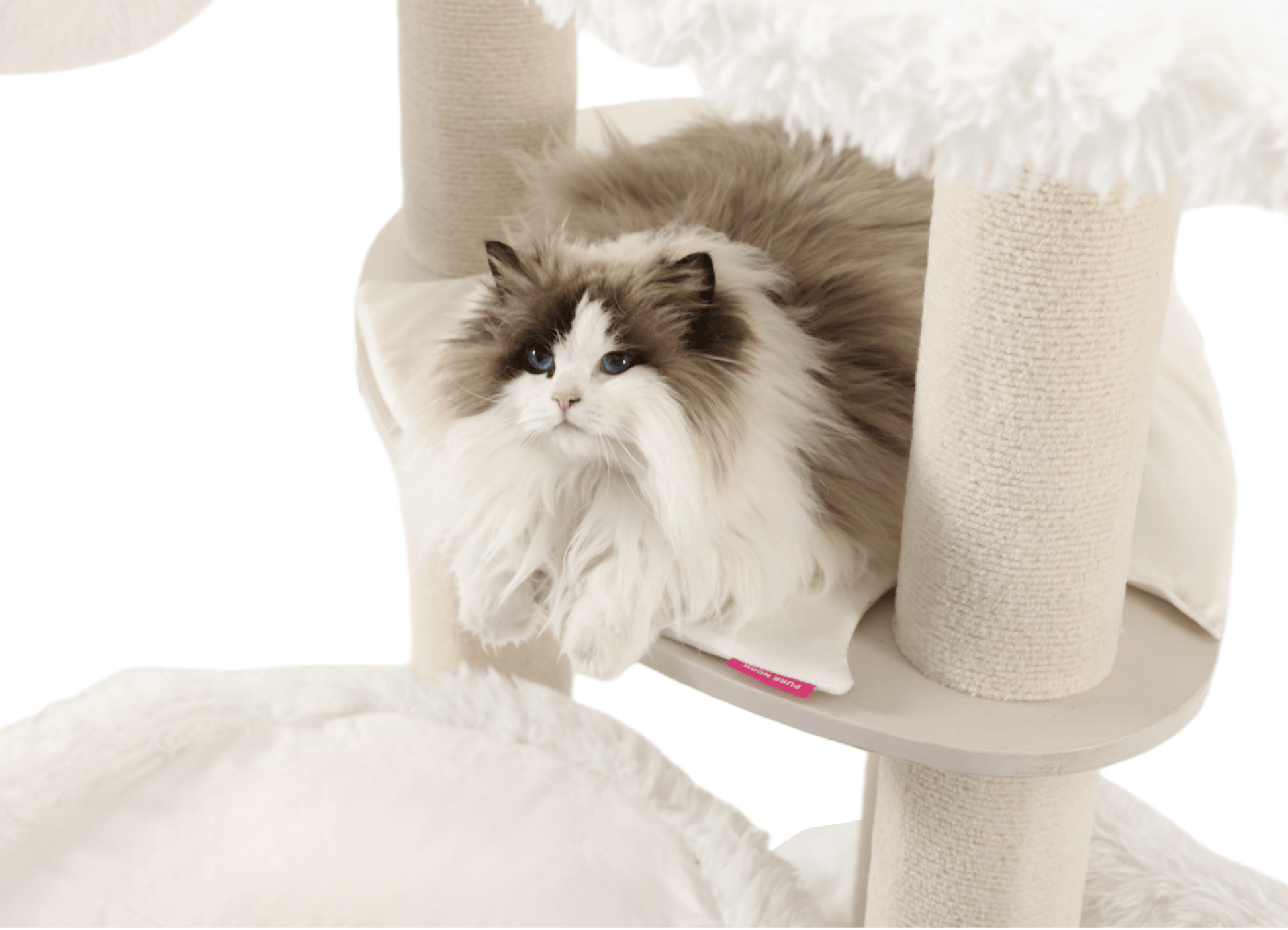 Premium cat trees for big cats. Your cat deserves to have these!