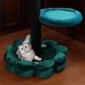 Cat lying on a green cat climbing tower with padded petals