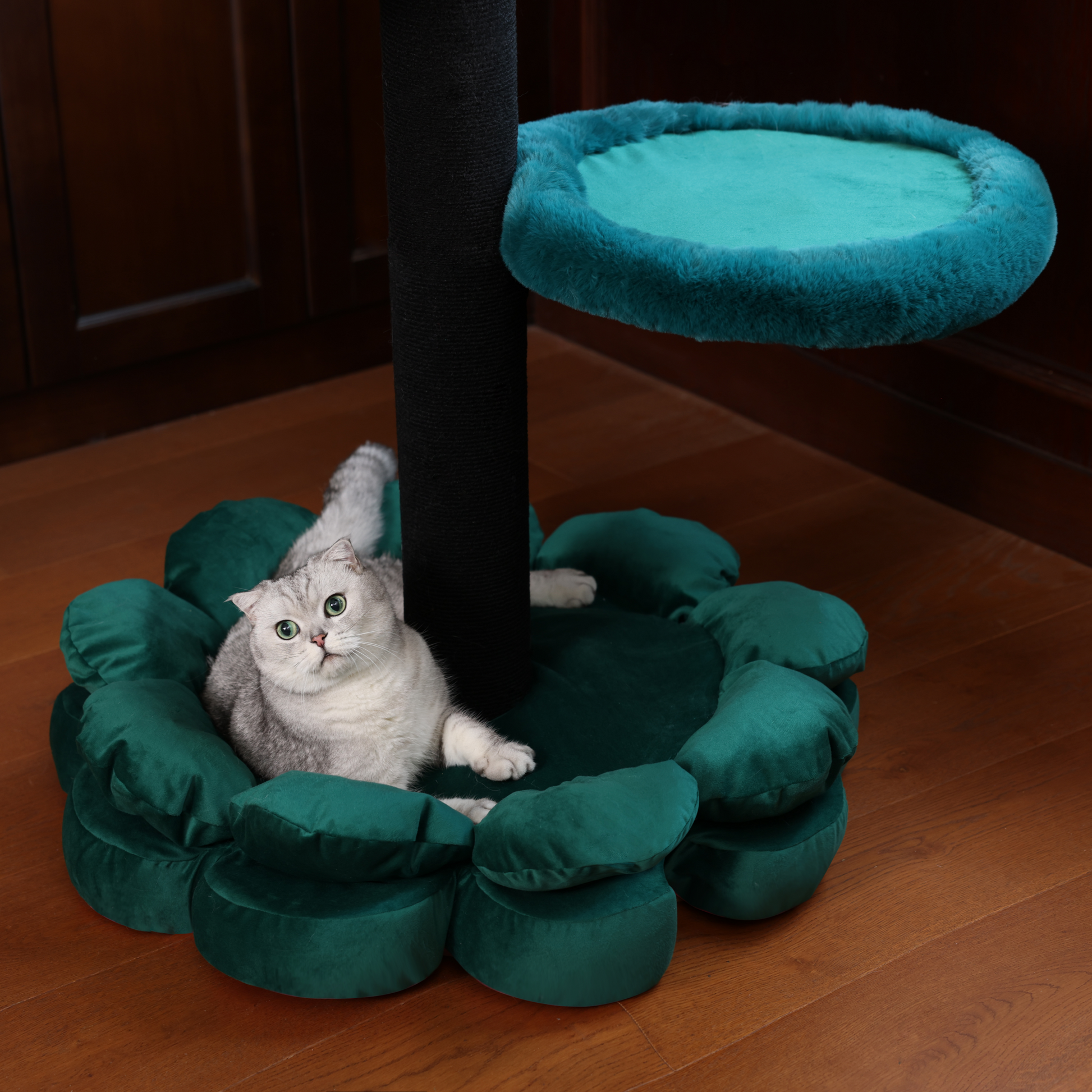 Cat lying on a green cat climbing tower with padded petals