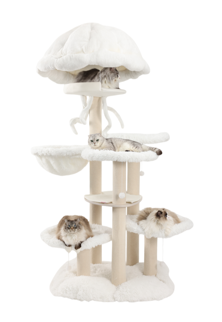 A massive cat tree specially designed for Maine Coons.