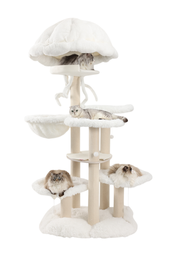 A massive cat tree specially designed for Maine Coons.