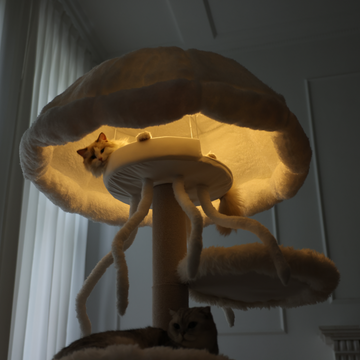 fun cat furniture with sensor light.