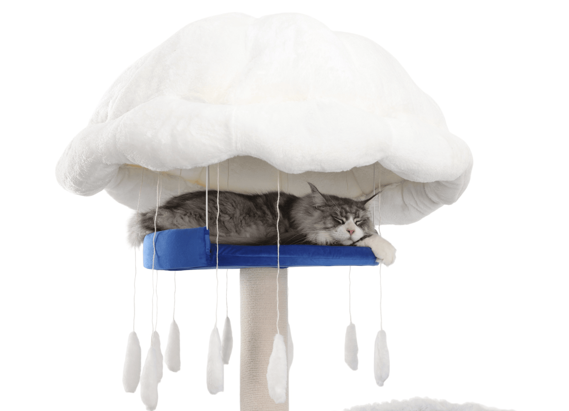 Sturdy cat trees for large cats feature multiple functions and are also detachable and washable.