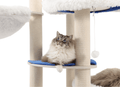 The cats are jumping and playing freely, with a stable and reliable cat tree large cat.