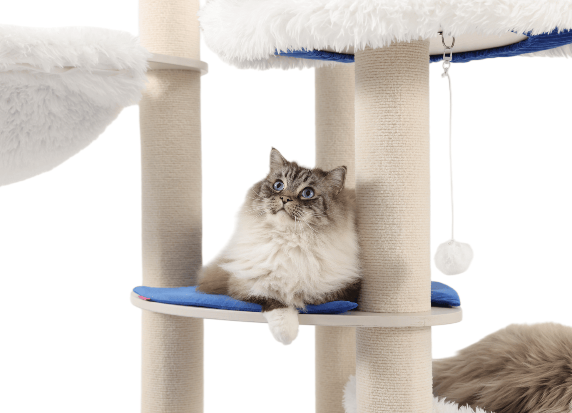 The cats are jumping and playing freely, with a stable and reliable cat tree large cat.