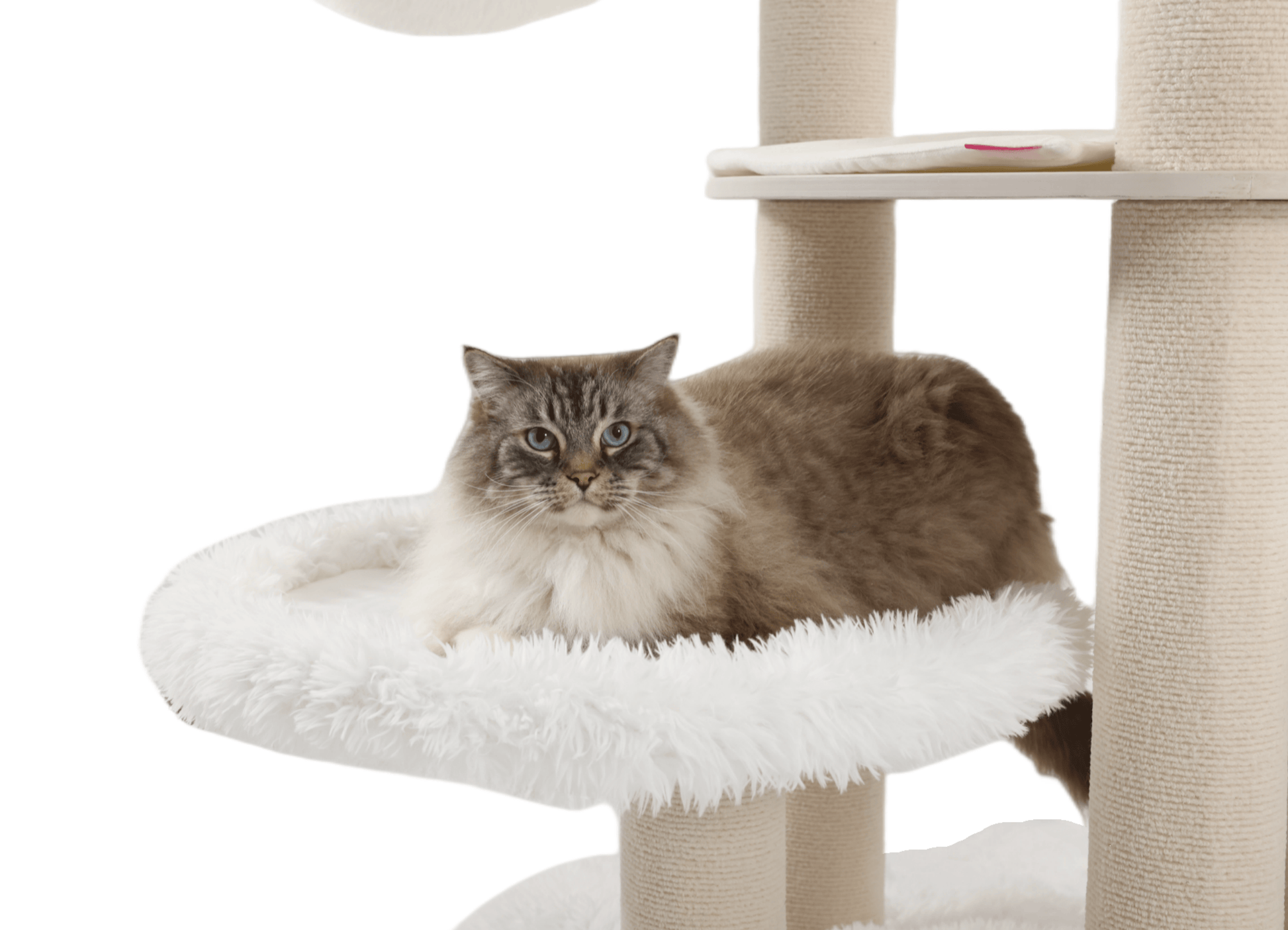 White detachable and washable cat tree for big cats
