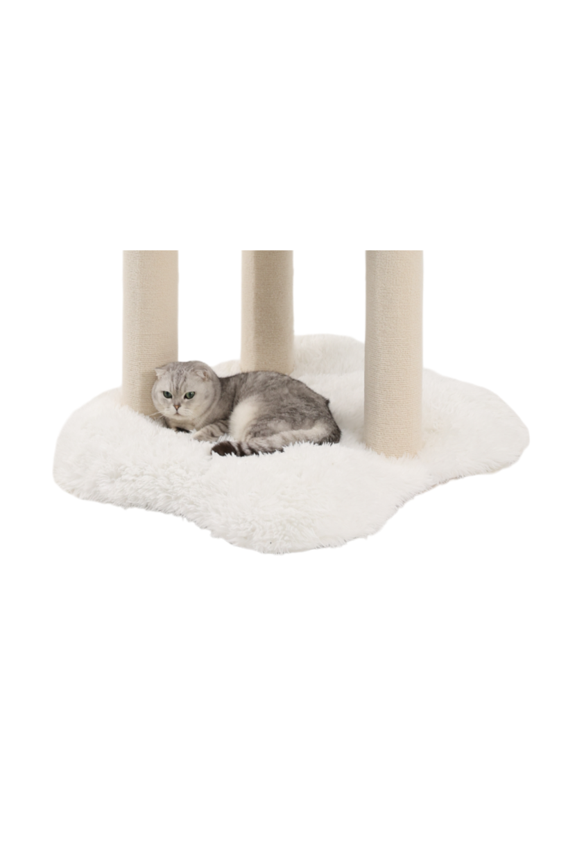 maine coon bed