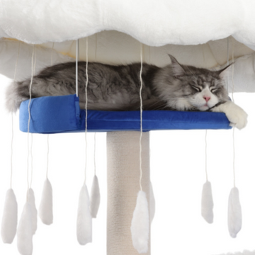 Simple and comfortable blue cat cave bed for big cats