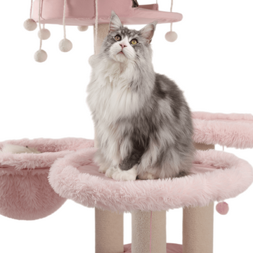 heavy duty cat tower for large cats