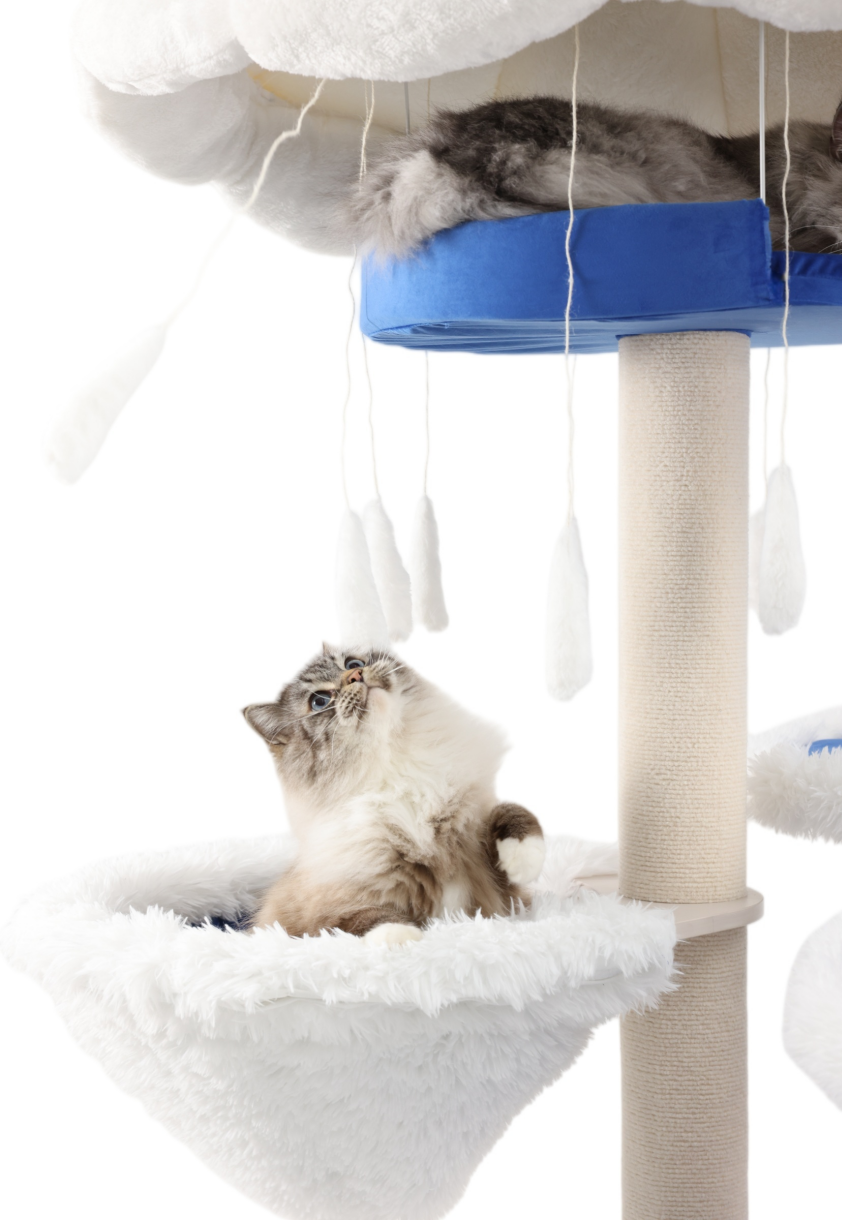 modern cat tree for large cats