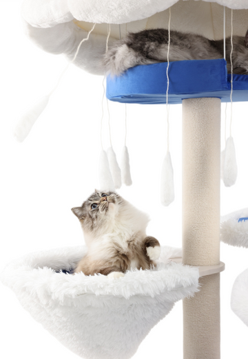 modern cat tree for large cats