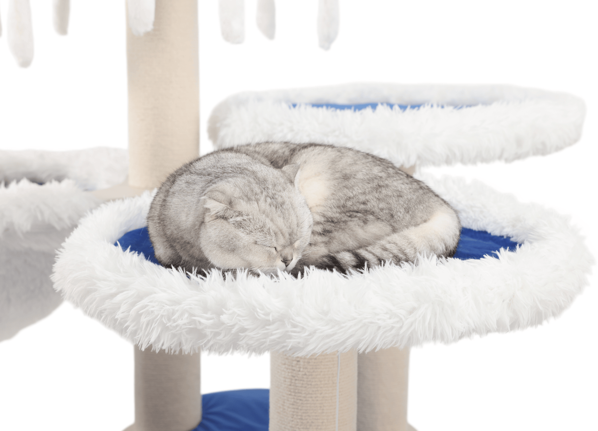 Maine Coon Cat Tower - a must-have cat tree for Maine Coon cats.