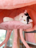 modern cat tree