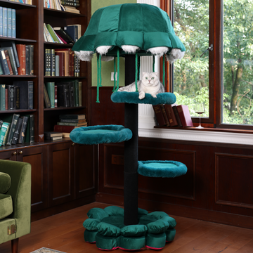 Cats also need their own cat house tree.