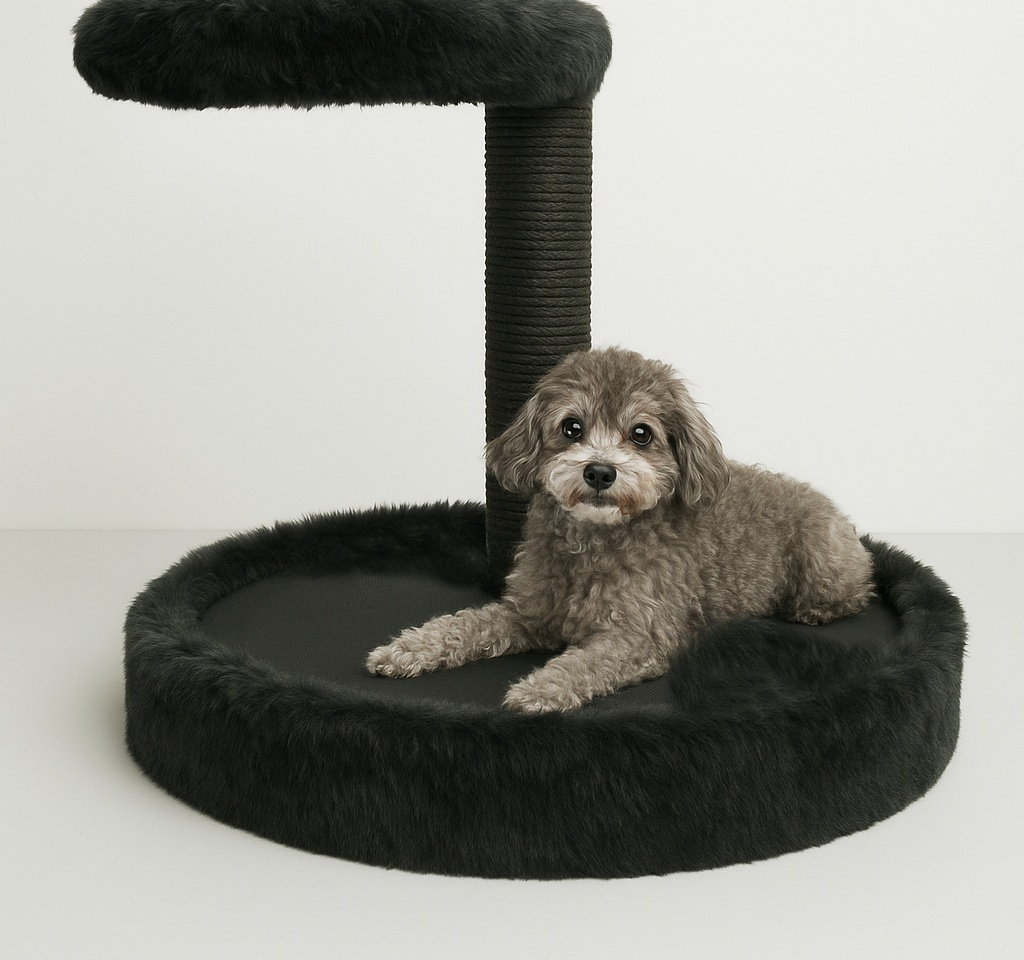 coolest cat tree tower