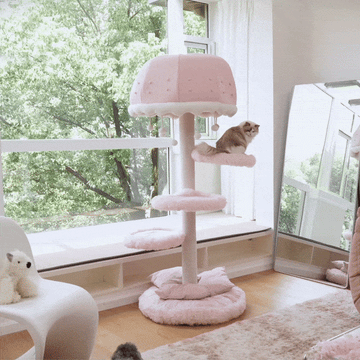 High-quality cute cat bedding.