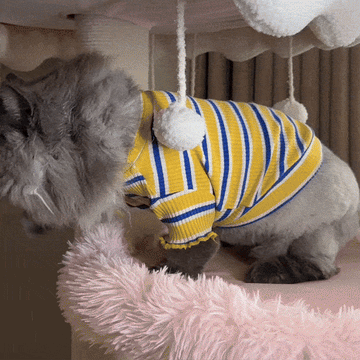 Removable and replaceable little pompom balls.