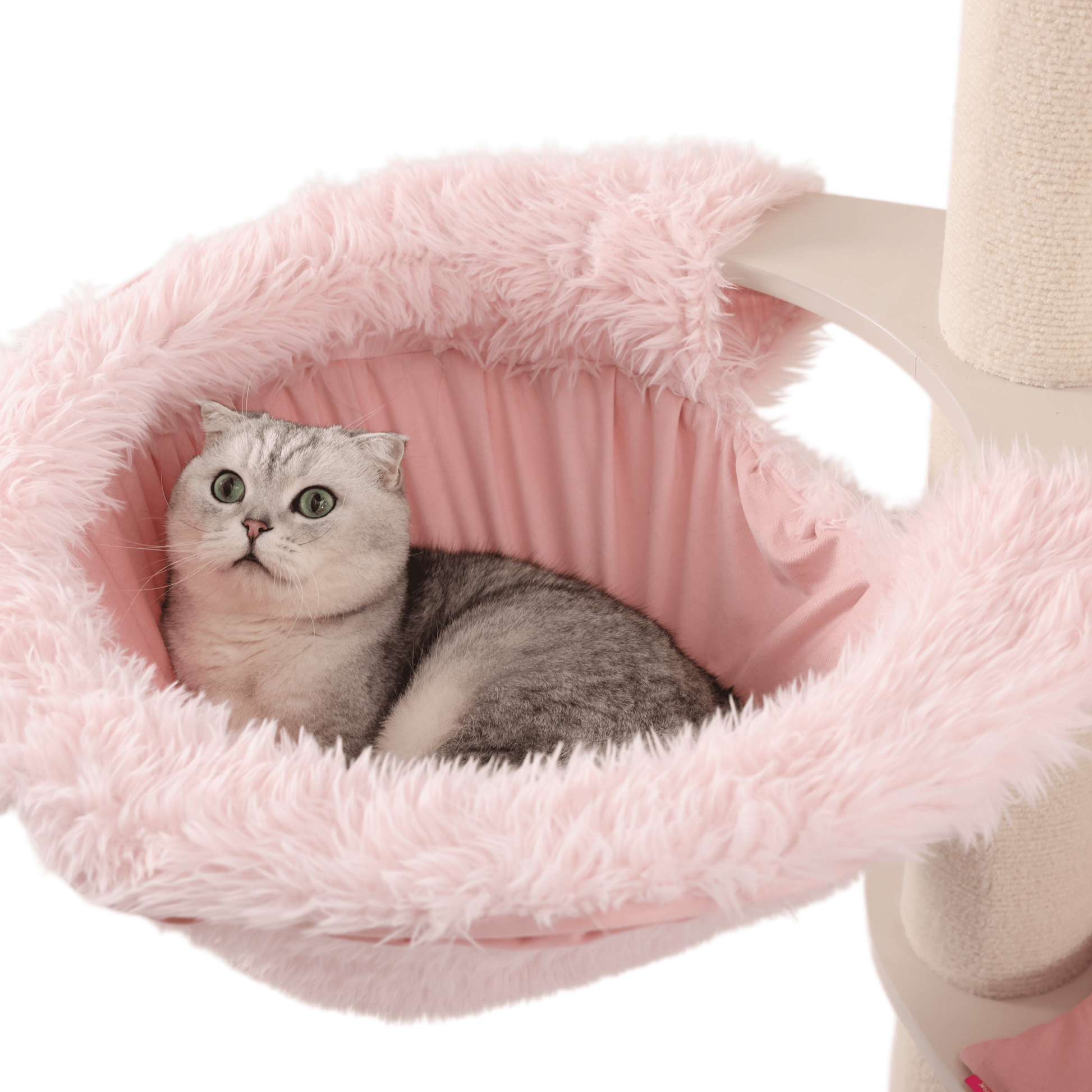 large cat tower for big cats