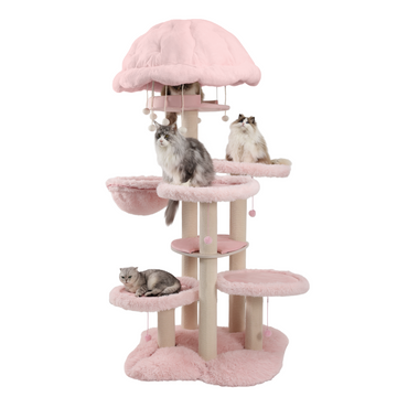 elevated cat bed for large cats