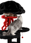 Spacious and safe elevated cat caves for large cats