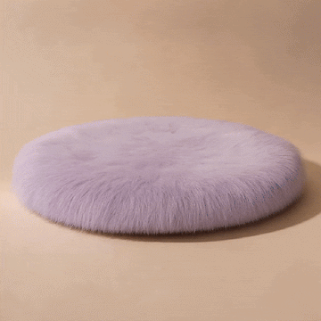 Modern wooden cat trees are the perfect choice for a quality lifestyle.