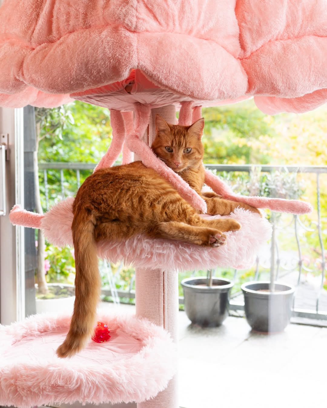 The cat tree is equipped with cat scratchers, which is essential.