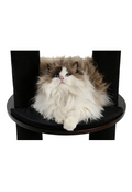 unique small cat trees for large cats