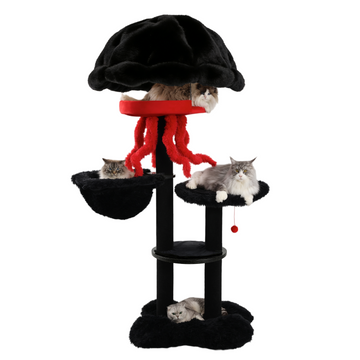 cat gyms for large cats