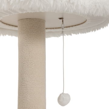 cat climbing tree for large cats