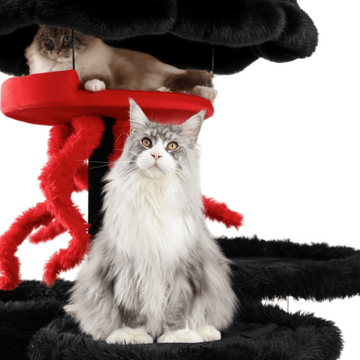 Sturdy and beautiful cat tree house for big cats