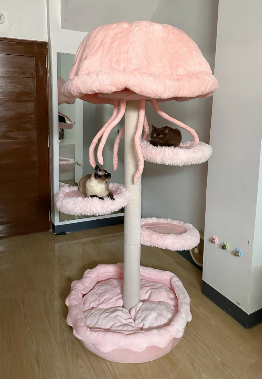 A big cat tree that can be placed by the window in the bedroom.