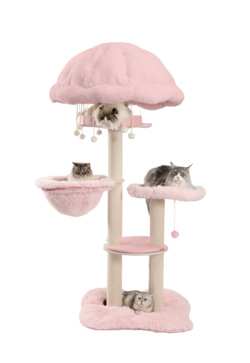 Big cat furniture essential for multi-cat households