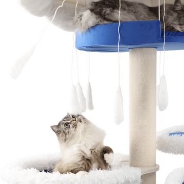 A sturdy cat tree for big cats with a long lifespan
