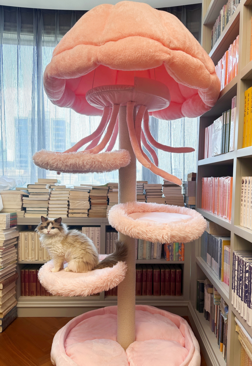 The cozy indoor cat condo is the favorite place for cats.