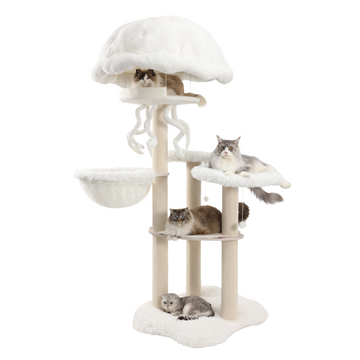 cat climbers for large cats