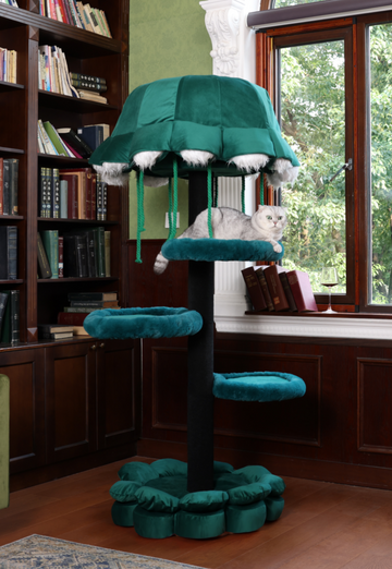 The cats' favorite cat tree and towers.