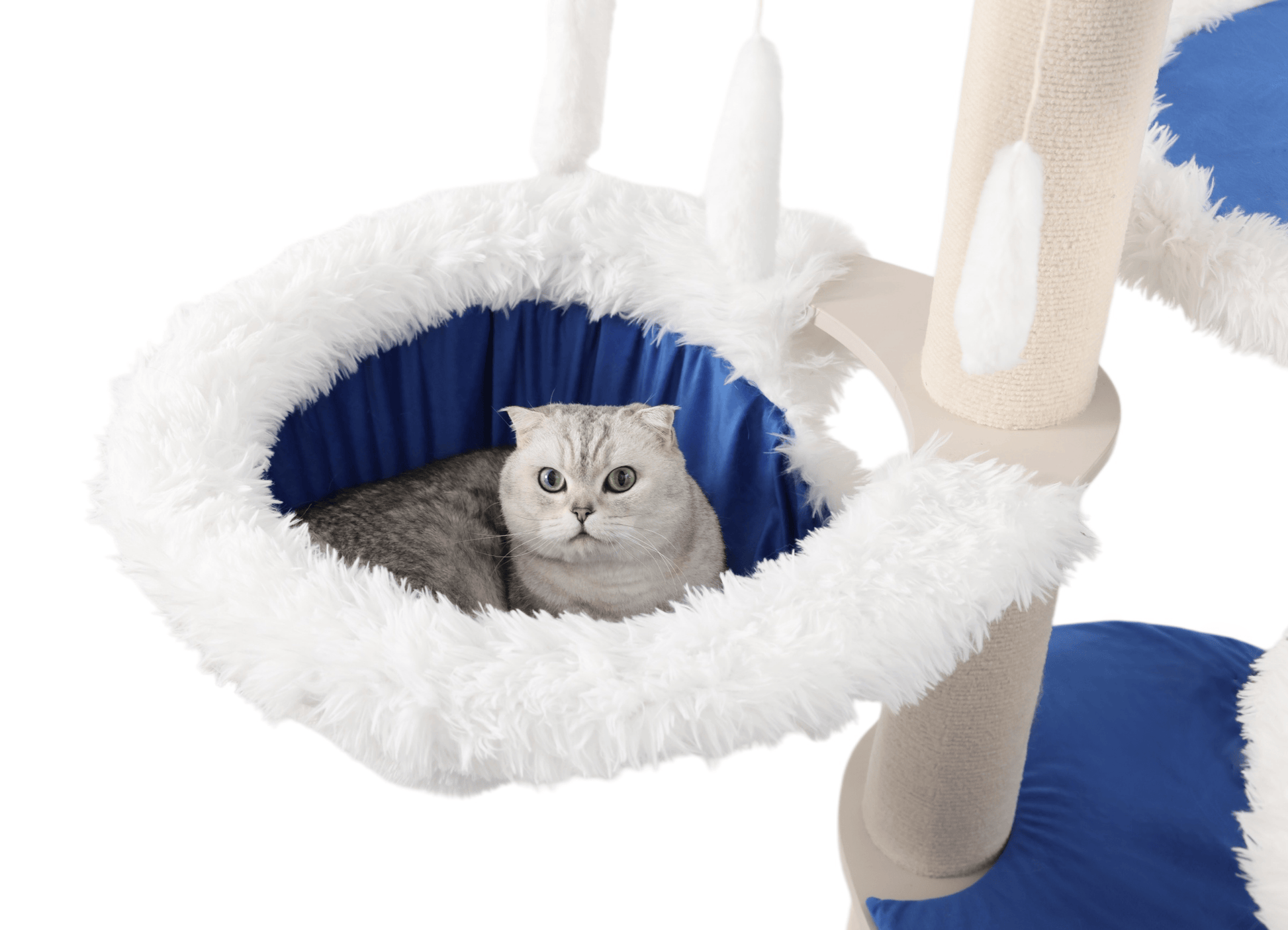 Cat scratching post for big cats. Durable and replaceable. A long-term solution.