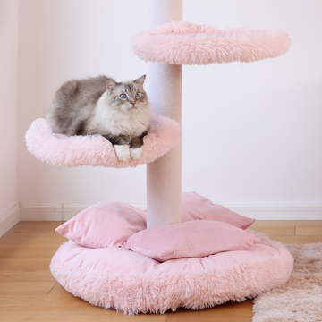 Don't miss this cat furniture condo.