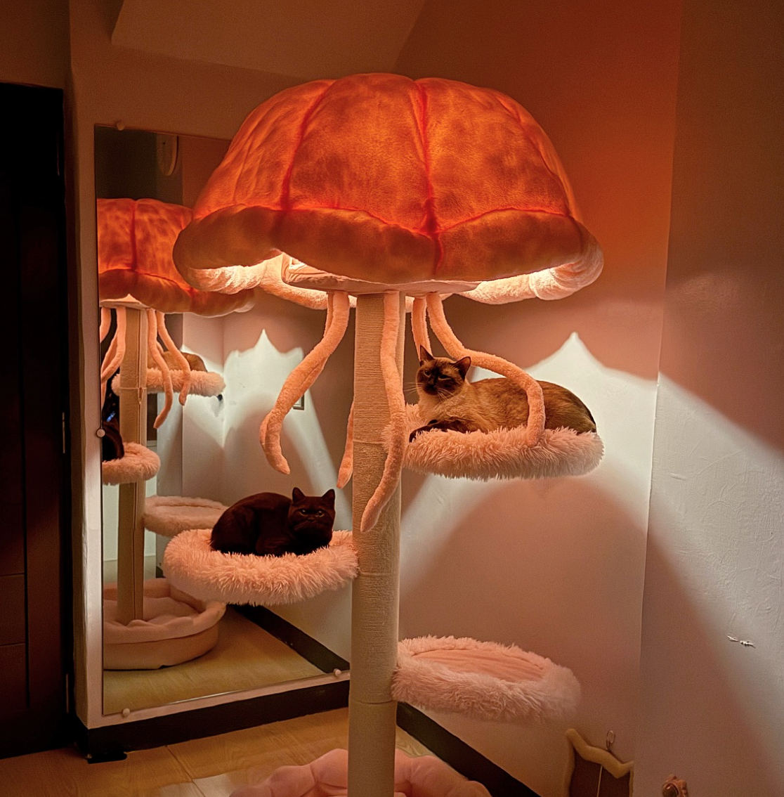 Modern cat condos - the secret playground where cats climb and play.