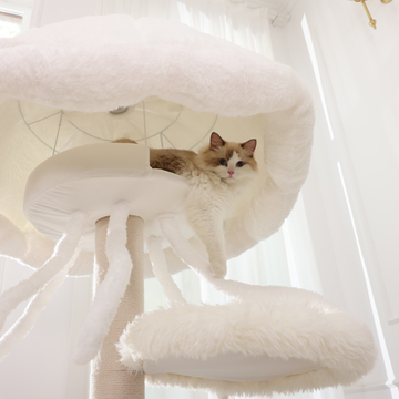 Cat lounging on a cozy modern cat tree with a soft white top