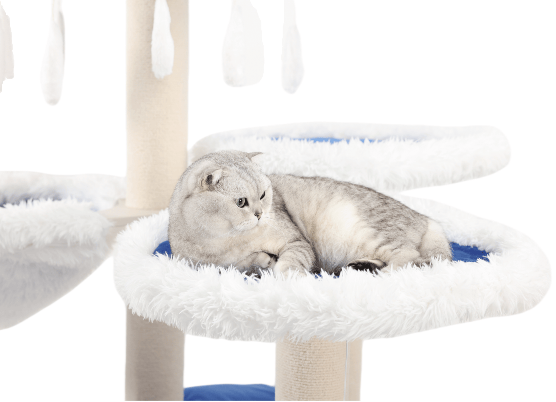 Blue and white sturdy cat tree for big cats, a lookout tower for cats