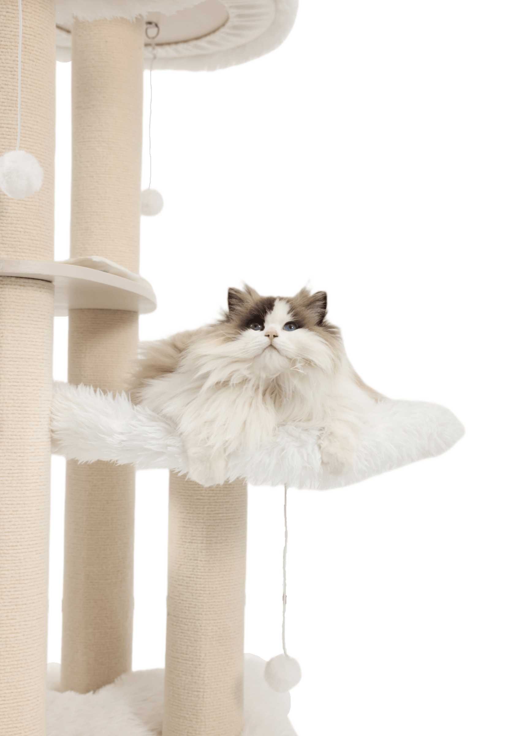 This is the extra-large cat tree that you have been looking for, specifically designed for big cats.
